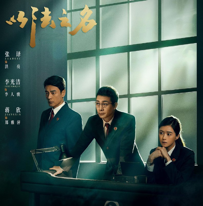 以法之名（2025）