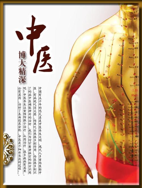 中医经络图 学习资料