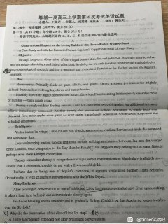偶遇神人英语阅读，超纲词和专有名词堆砌强如怪物，拼尽全力无法理解内容 问题来了，这么精妙的文章出处在哪呢，请诸位尝试猜一下吧