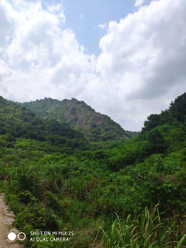 好久没有爬山了
