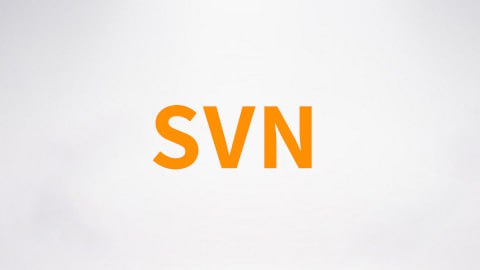 SVN视频-带源码课件
