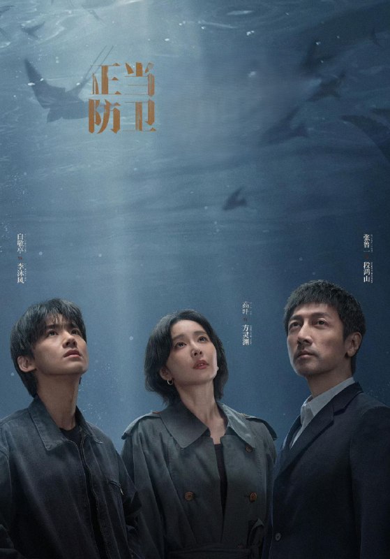正当防卫 影视