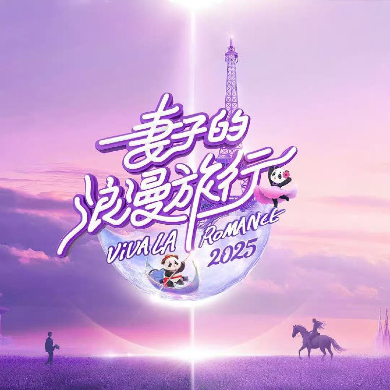 妻子的浪漫旅行 电视剧