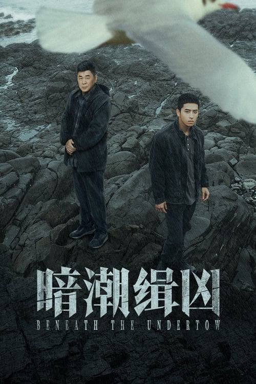 暗潮缉凶net 网络资源