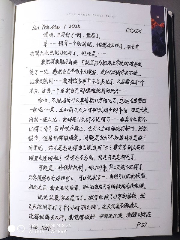 什么是偏执——比如日记不管怎么样都得写满一整页……