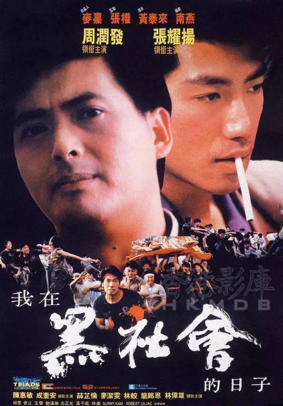 我在黑社会的日子