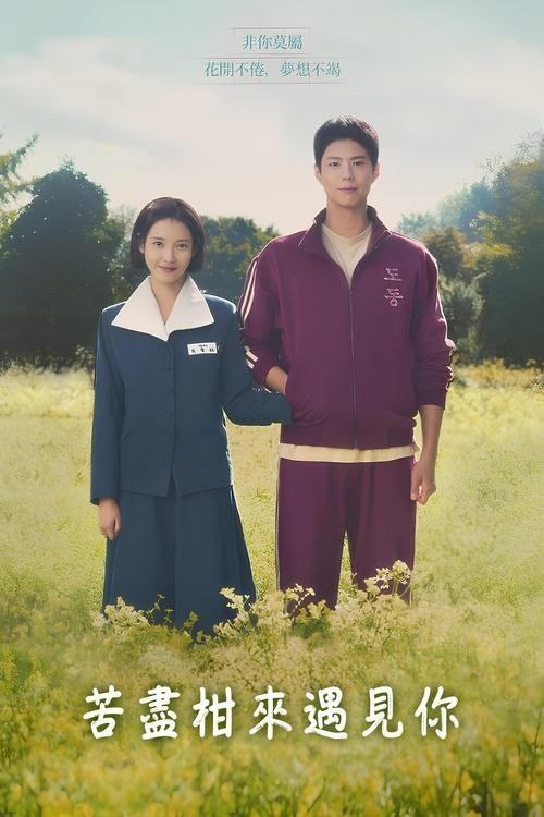 苦尽柑来遇见你（2025）
