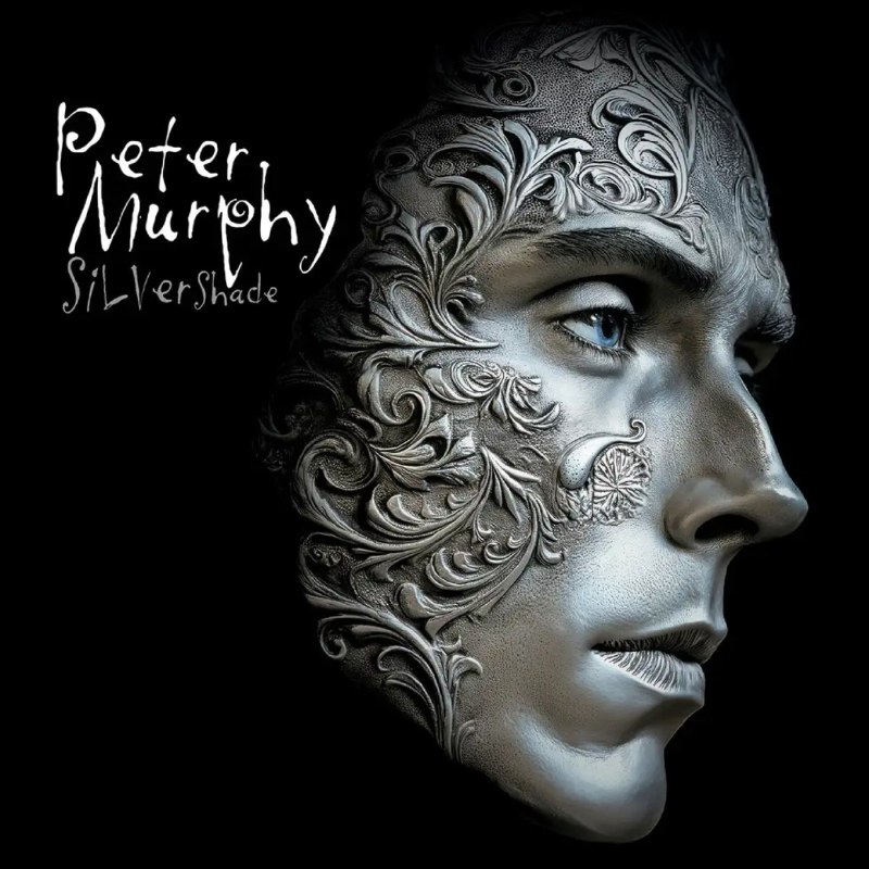 PeterMurphy-SilverShade2025