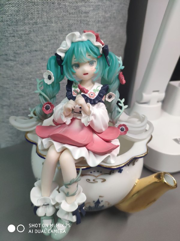 银莲花仙子🧚‍♀️