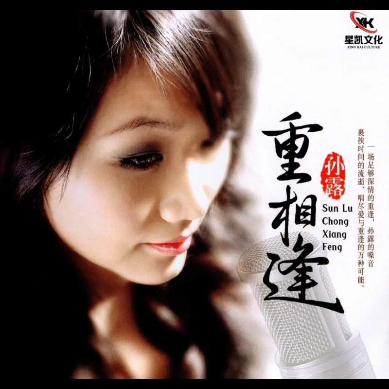 孙露重相逢2025黄金母盘直刻WAV+CUE 音乐