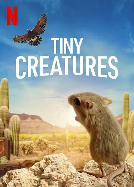 微观世界TinyCreatures（2020）