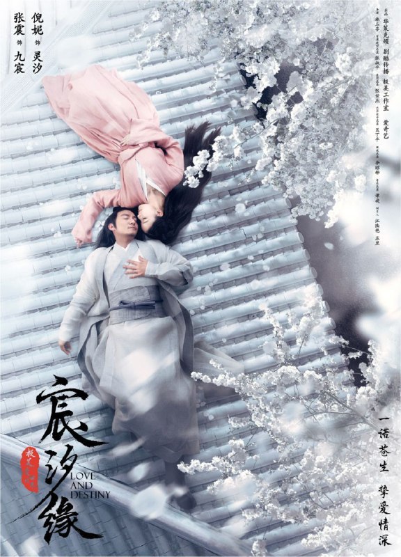 宸汐缘 电视剧