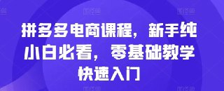 拼多多电商课程，新手纯小白必看，零基础教学快速入门[免费在线观看][夸克网盘]