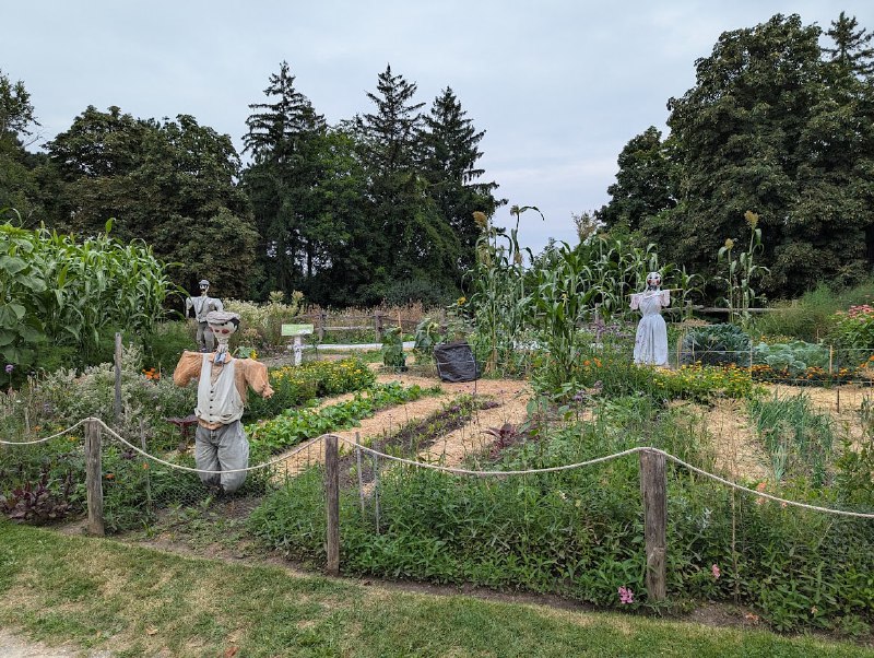 Black Creek Pioneer Village 和去年去的 Upper Canada Village 相似度 95%，加拿大人有自己的古鎮景區