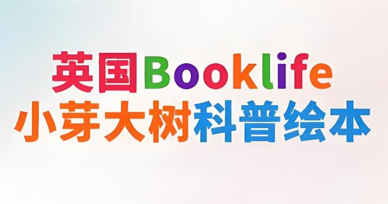小芽大树系列