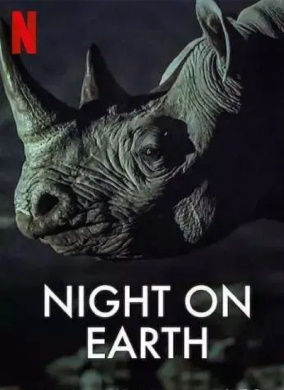 地球的夜晚