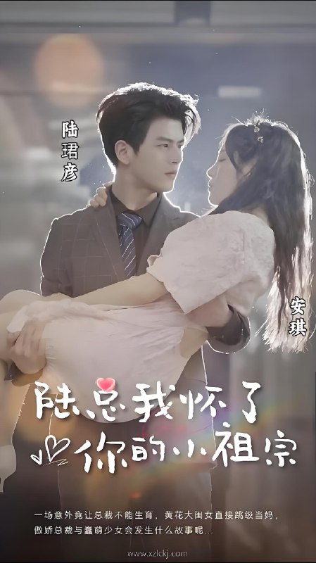 陆总我怀了你的小祖宗（100集） 短剧