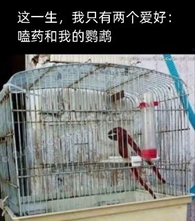 via 宫子