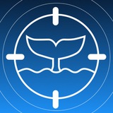 Channel Image