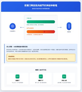 【筋膜刀】释放肌肉结节和粘连的神经学原理|纯干货分享https://www.bilibili.com/video/BV1L5JJz5ETo以后这种一张图就能解释的，非必要就不写具体梗概了（  标题几乎就是文章内容，如果有兴趣可以直接点开视频看#lin