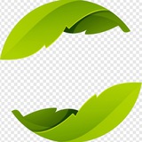 Channel Image