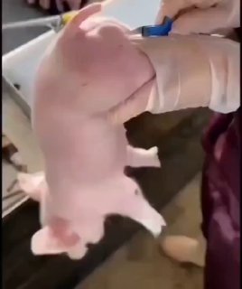 👀精品资源 🔎全网搜索