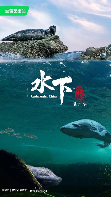 水下中国第二季