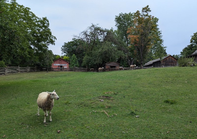 Black Creek Pioneer Village 和去年去的 Upper Canada Village 相似度 95%，加拿大人有自己的古鎮景區