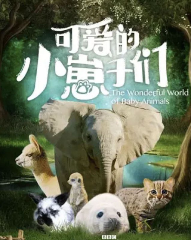 可爱的小崽子们