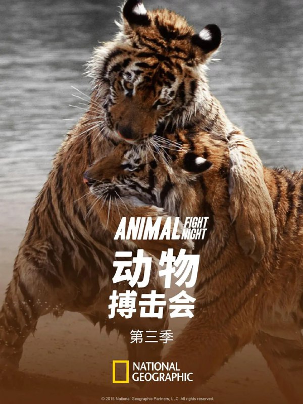 动物搏击会第三季