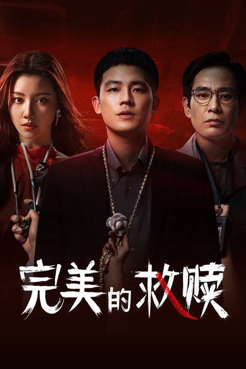 完美的救赎（2025）