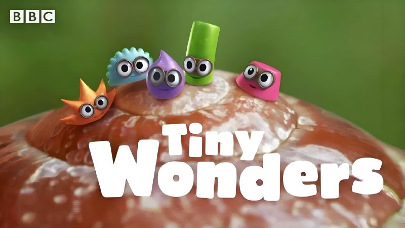 BBC少儿科普动画《小奇迹TinyWonders》