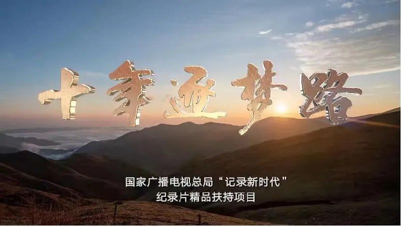 十年逐梦路（2022）