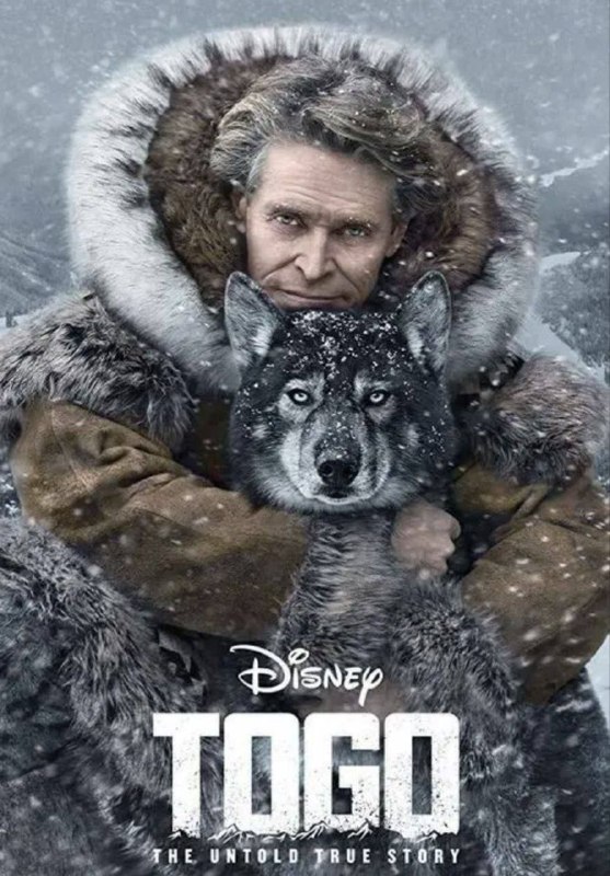 多哥（2019）
