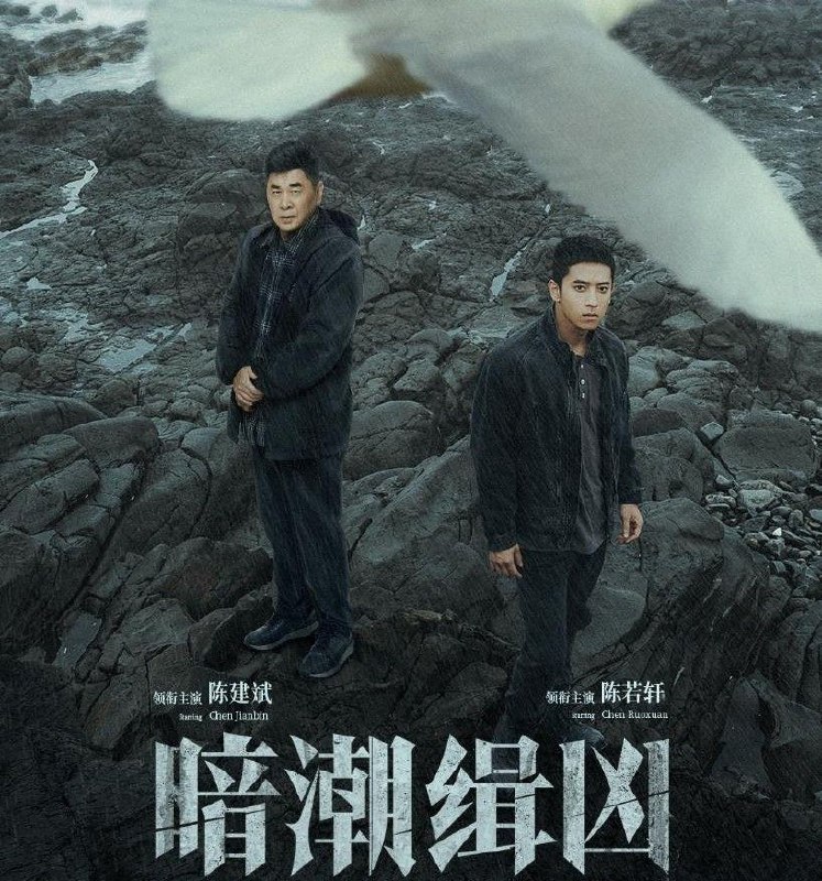 暗潮缉凶2025 网络资源