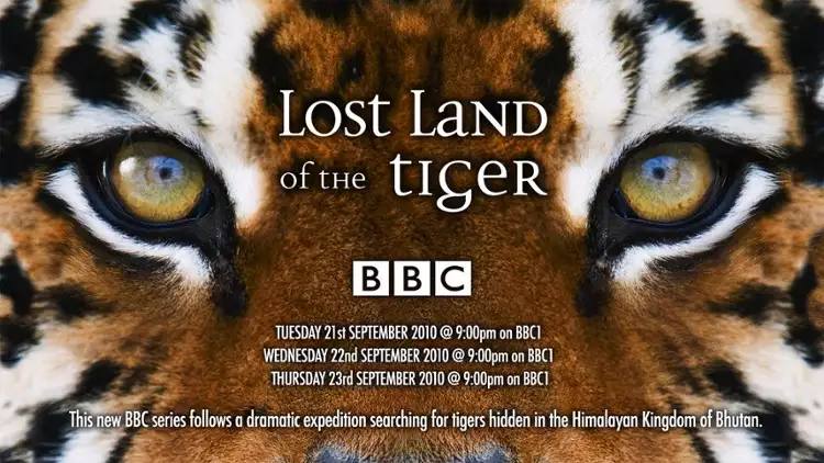 LostLandoftheTiger-🌍 网络资源