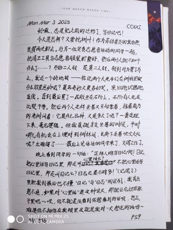 在树林里面坐着的时候，颇有两个老头子就着秋风（其实是春风）谈天的即视感
