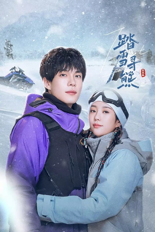 踏雪寻熊 夸克网盘