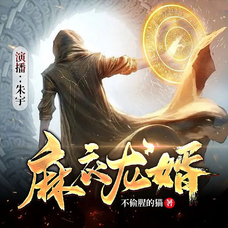 麻衣龙婿