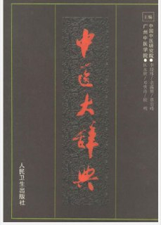 《中医大辞典》中医学术的综合性辞书 李经纬[pdf][免费在线观看][夸克网盘]