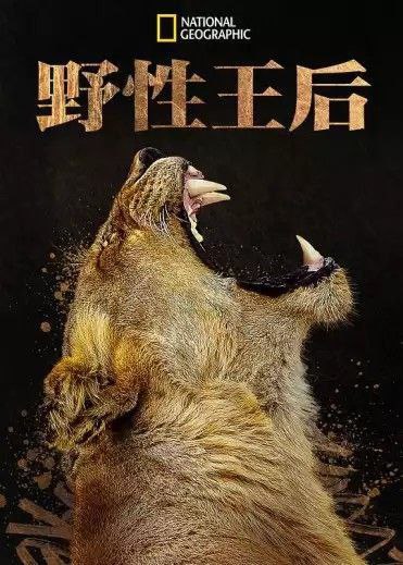 野性王后（2024）4K全集